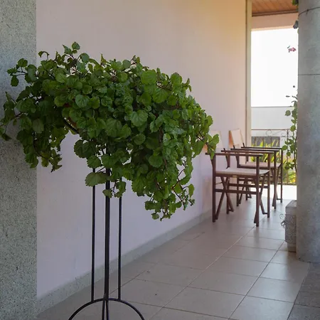 Em Quarto em Acomodações Particulares *